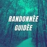 Randonnée guidée - À la découverte des arbres