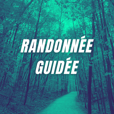 Randonnée guidée - À la découverte des arbres