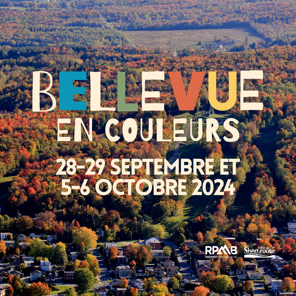 Bellevue en couleurs 2024