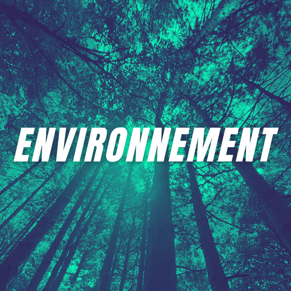 Environnement